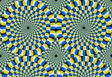 Trick Your Eyes with these Optical Illusions Talk Cock Sing Song