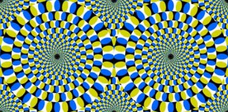 Trick Your Eyes with these Optical Illusions Talk Cock Sing Song