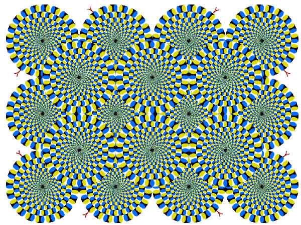 Trick Your Eyes with these Optical Illusions Talk Cock Sing Song