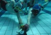 Underwater Hockey Talk Cock Sing Song