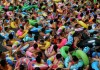 China Swelters 40 degree Weather Talk Cock Sing Song