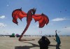 Huge Dragon Kites Talk Cock Sing Song