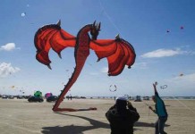Huge Dragon Kites Talk Cock Sing Song