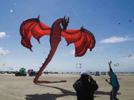 Huge Dragon Kites Talk Cock Sing Song