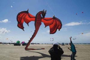 Huge Dragon Kites Talk Cock Sing Song