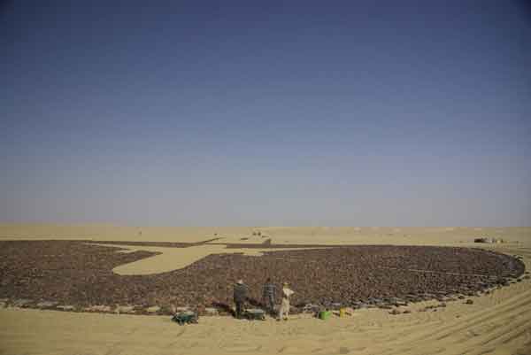 Sahara Desert Memorial Talk Cock Sing Song