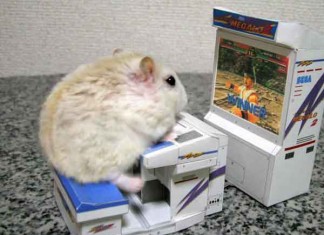 Best Gaming Mouse in the World Talk Cock Sing Song