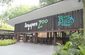 Free Entry or Discounts for Singapore Attractions Talk Cock Sing Song