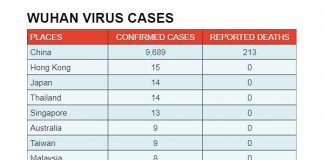 Wuhan coronavirus Singapore 13 Confirmed Case Till Date Talk Cock Sing Song