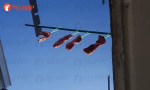 Family in Yishun Removes Meat Hung at Laundry Rack after Visit from Town Council Talk Cock Sing Song