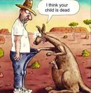 Kangaroo is Sad to See the Child Dead Talk Cock Sing Song