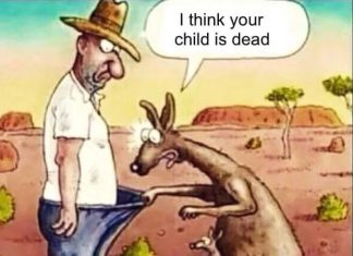 Kangaroo is Sad to See the Child Dead Talk Cock Sing Song