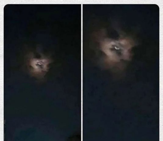 When You Hope for a Better Tomorrow and the Moon Gives You This Look Talk Cock Sing Song