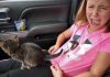 This Girl will be Scared of Cats from This Day Talk Cock Sing Song