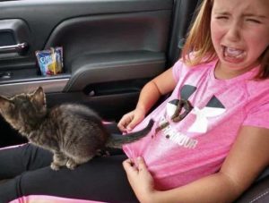 This Girl will be Scared of Cats from This Day Talk Cock Sing Song