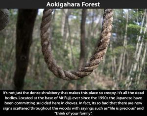 Creepy Places on Earth - Aokigahara Forest Talk Cock Sing Song