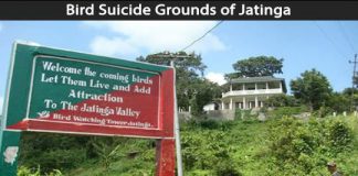 Creepy Places on Earth - Bird Suicide Grounds of Jatinga Talk Cock Sing Song