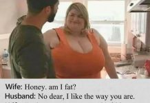 Honey, Am I Fat Talk Cock Sing Song