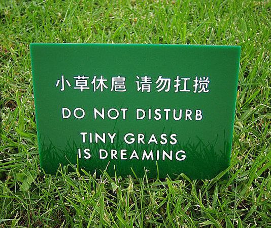 Please DO NOT DISTURB Talk Cock Sing Song