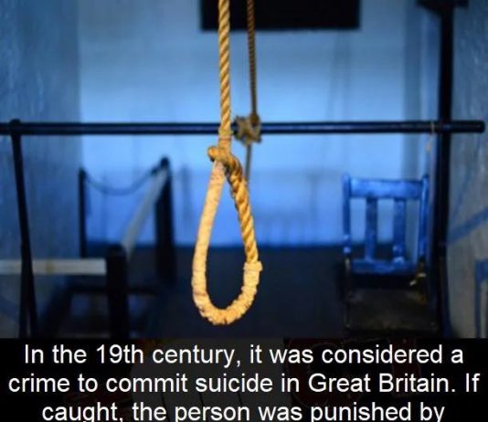 Interesting Fact Talk Cock Sing Song